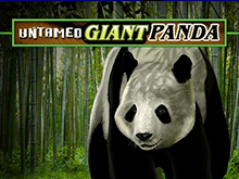 Бесплатный игровой автомат Untamed Giant Panda